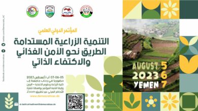 الأمن الغذائي